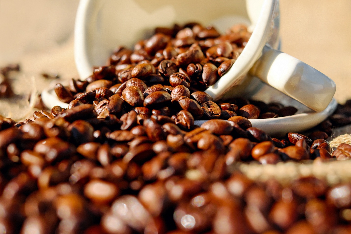 How to Choose the Right Coffee Beans (Most People Get This Wrong)