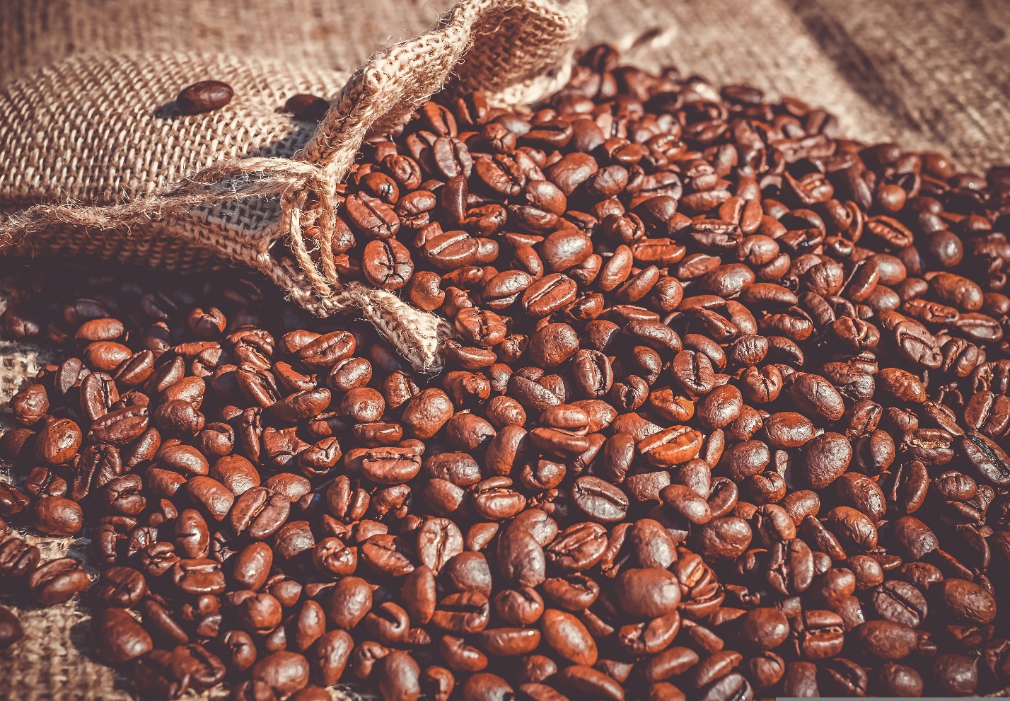 Where to Buy Fresh, High-Quality Coffee Beans Online.