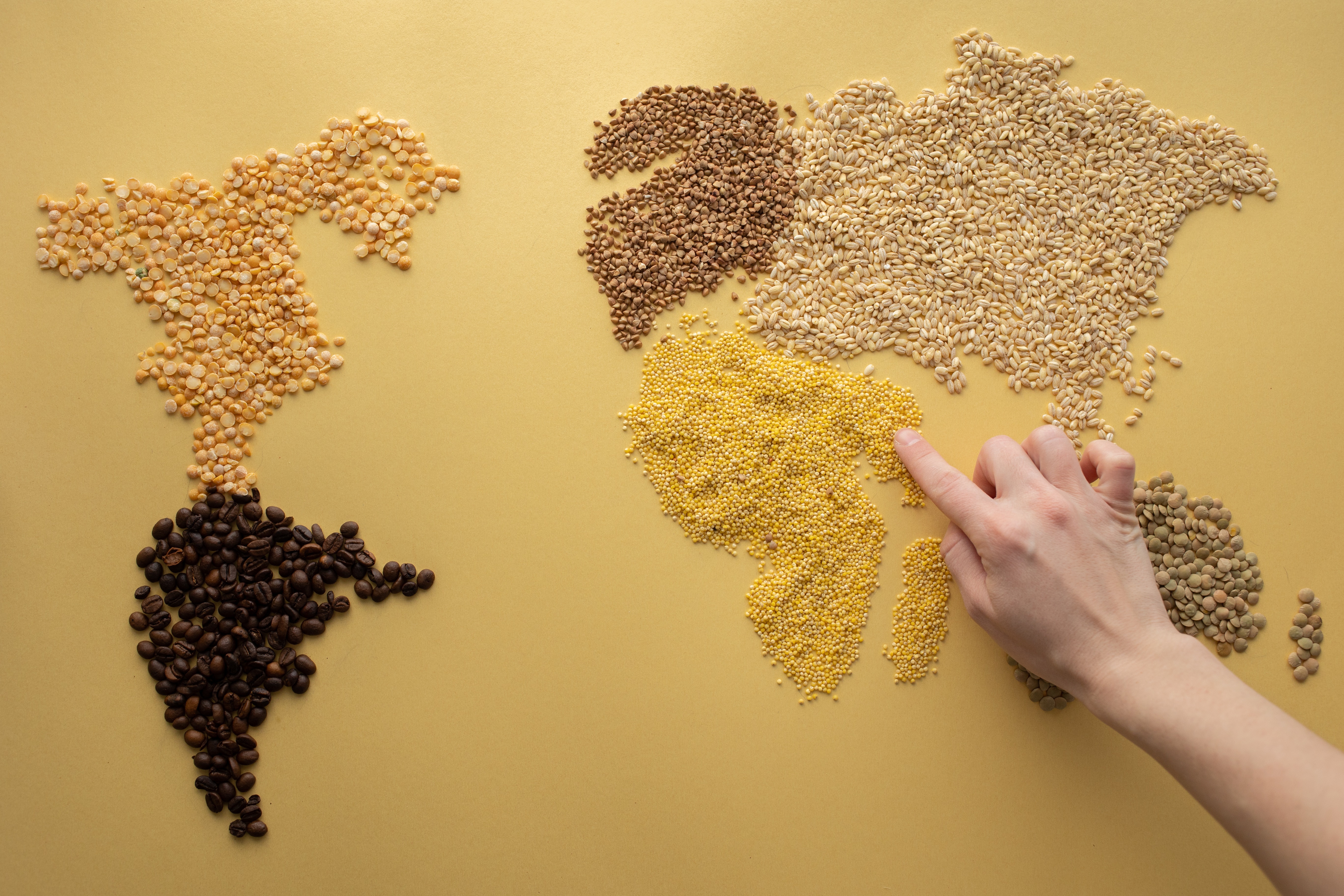 Interesting facts about coffee.