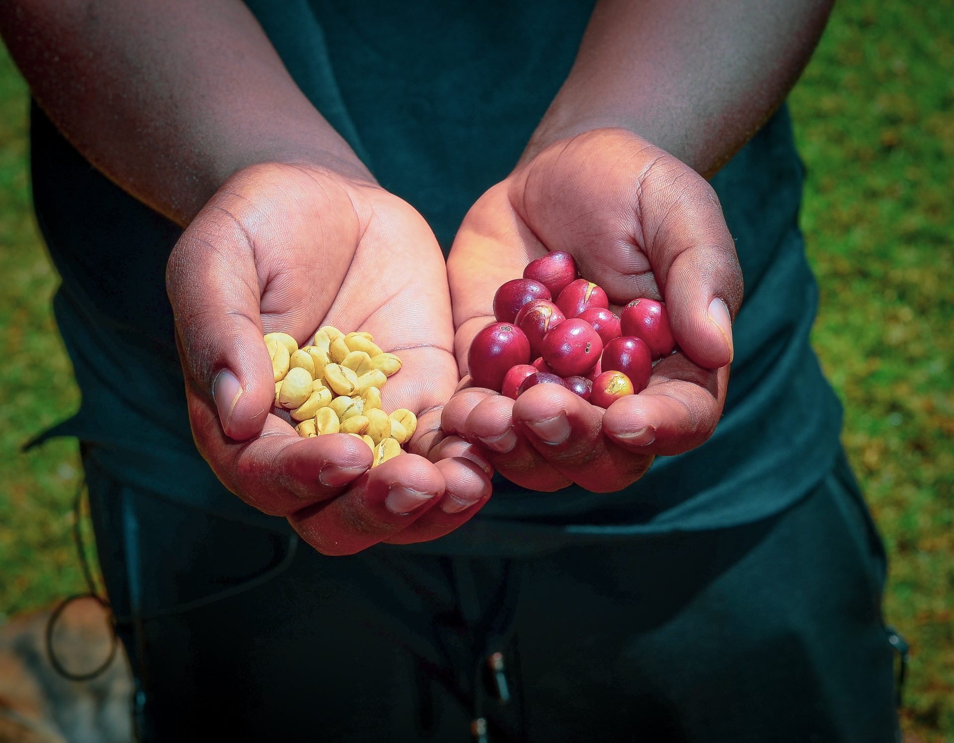 Nilotic Coffee House. Our Origin story: Part 1.
