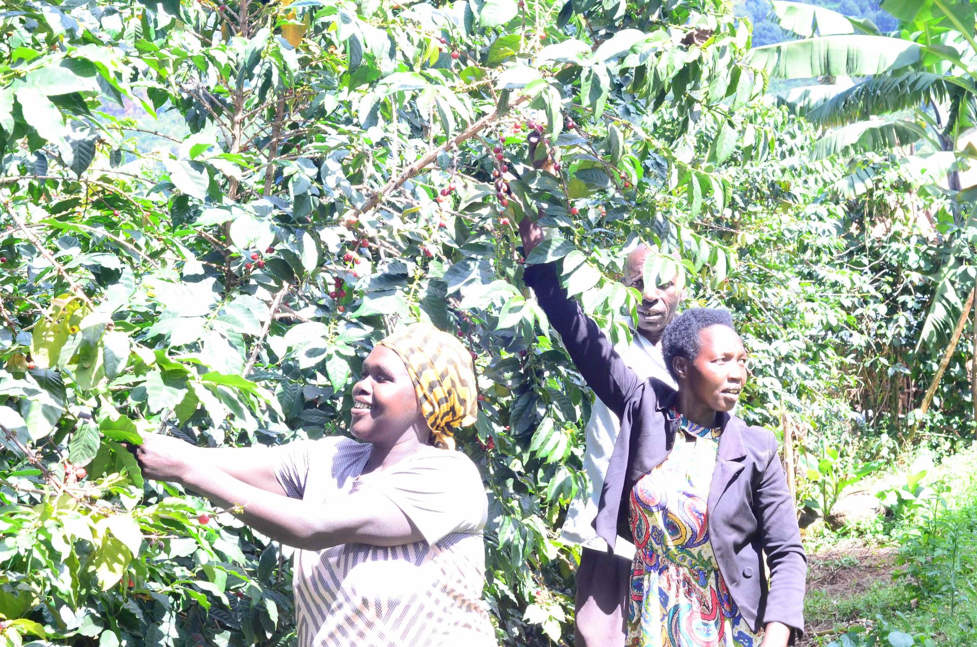 Nilotic Coffee House community work